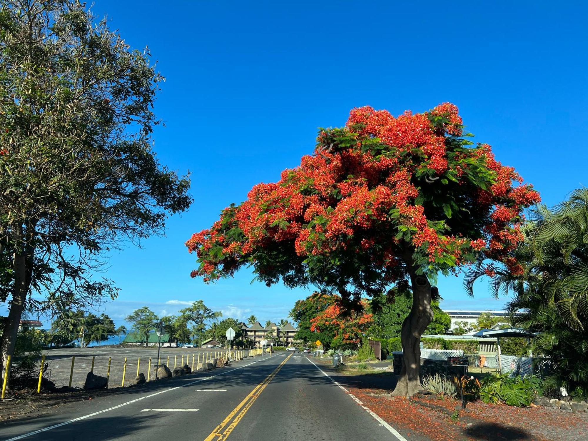 Mailan Hale Leilighet Kailua-Kona Eksteriør bilde